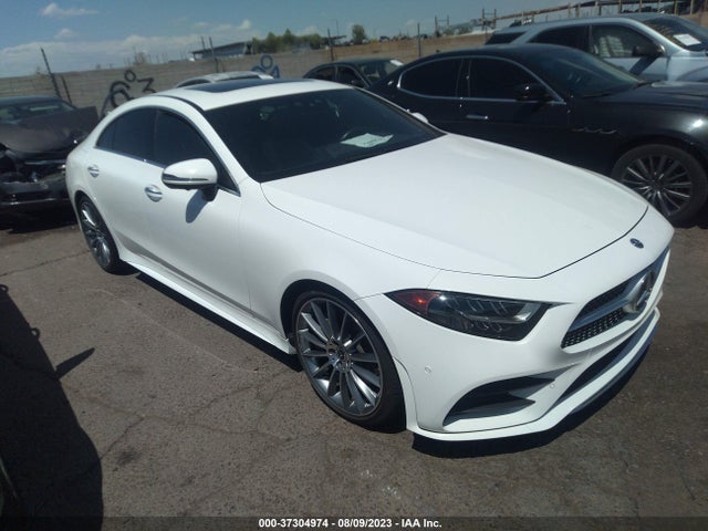 2019 Mercedes-Benz CLS-Class, VIN: WDD2J5JBXKA029365