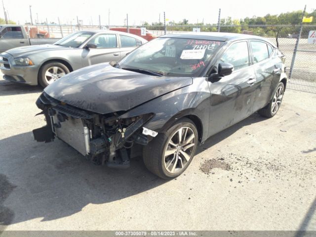 1N4AA6AV8KC367654 Nissan MAXIMA SL