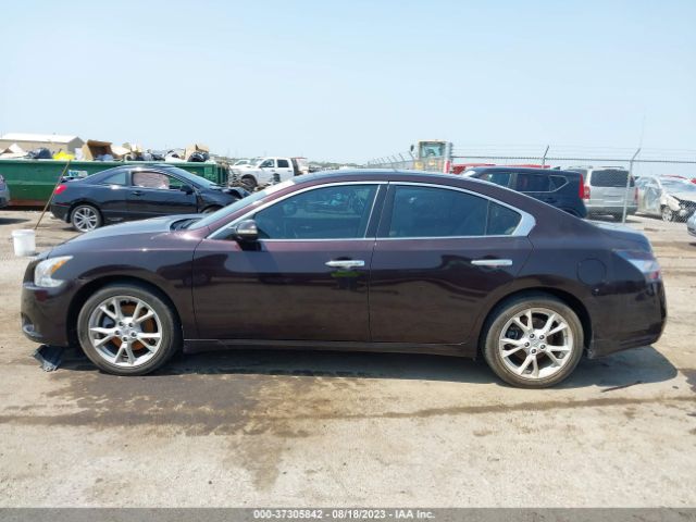 1N4AA5AP6EC489624 Nissan Maxima 3.5 Sv W/premium Pkg