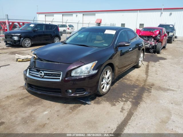 1N4AA5AP6EC489624 Nissan Maxima 3.5 Sv W/premium Pkg