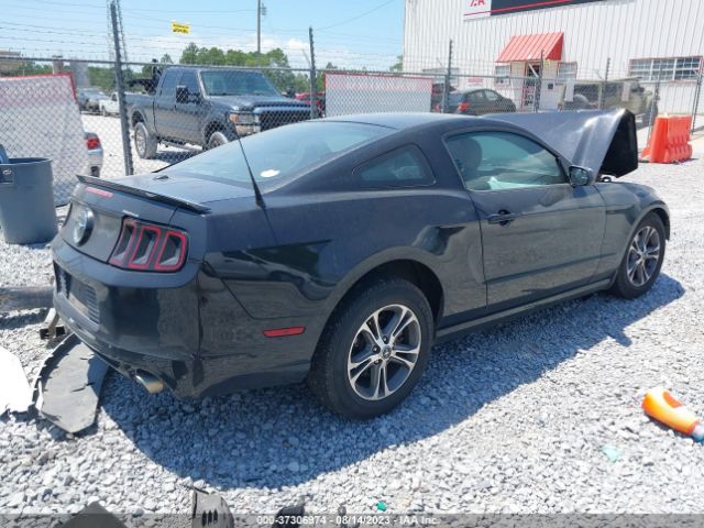 1ZVBP8AM5E5269252 Ford Mustang V6