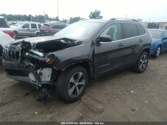 2019 JEEP CHEROKEE LIMITED VIN: 1C4PJMDN6KD123855
