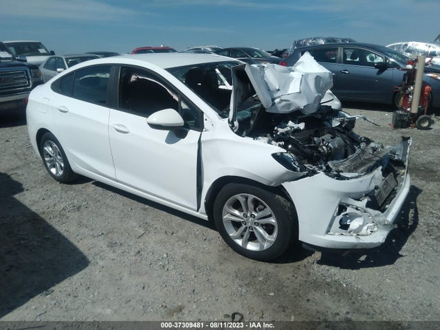 2019 1G1BC5SM6K7123267 main image