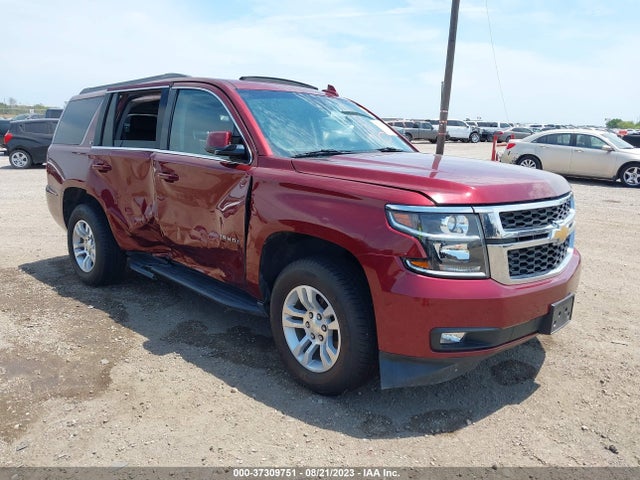 2019 1GNSKBKC3KR341940 main image