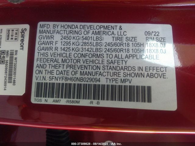 5FNYF8H60NB029094 Honda Passport Trailsport