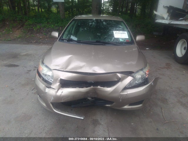 2010 TOYOTA COROLLA VIN: 2T1BU4EE1AC395726
