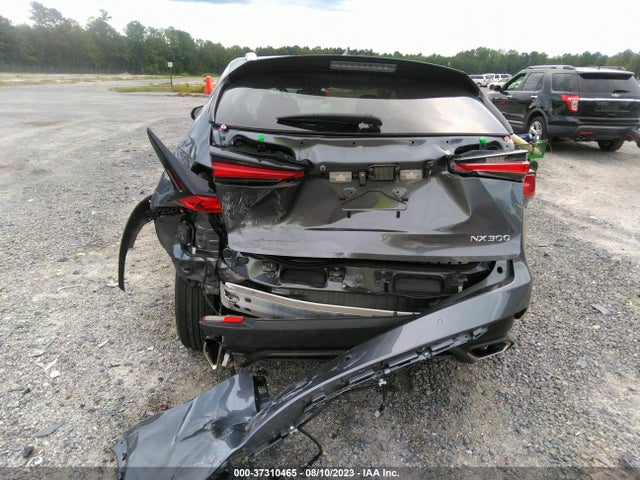 2021 LEXUS NX NX 300 VIN: JTJDARBZ1M2192356