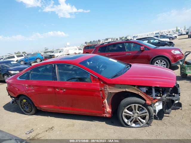 Hyundai Sonata Sport 2019 5NPE34AF8KH814250 Image 6
