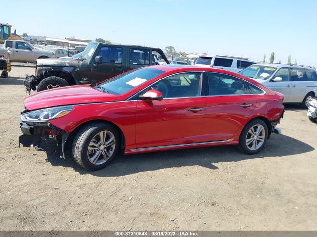 Hyundai Sonata Sport 2019 5NPE34AF8KH814250 Image 7
