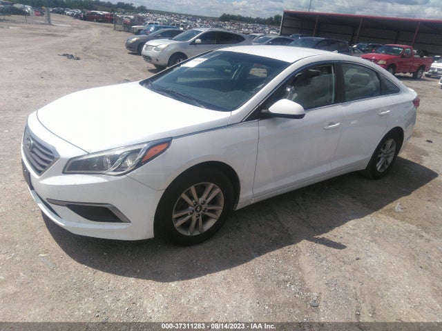 Hyundai Sonata 2.4l Se 2016 5NPE24AF6GH330863 Image 2