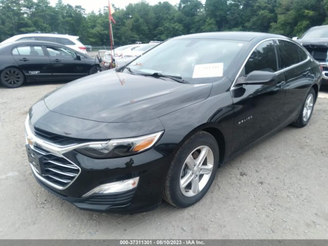 2020 CHEVROLET MALIBU 1G1ZB5ST7LF122256 Photo 1