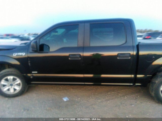 1FTEW1CP8FKE36238 Ford F-150 Xl/lariat/xlt