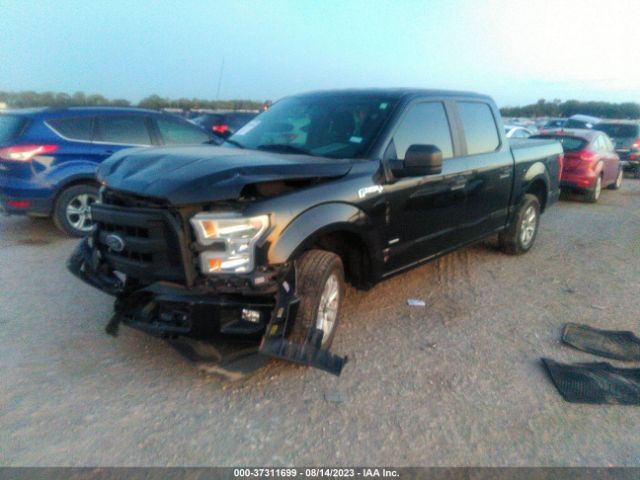 1FTEW1CP8FKE36238 Ford F-150 Xl/lariat/xlt