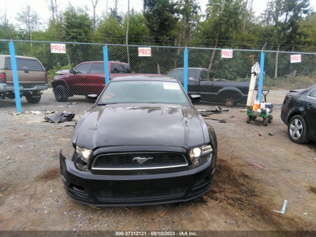 1ZVBP8AM7E5264490 Ford Mustang V6