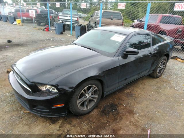 1ZVBP8AM7E5264490 Ford Mustang V6