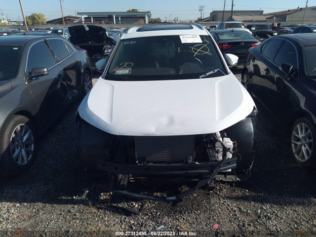 2023 Audi Q4 e-tron, VIN: WA1BCBFZ5PP009595