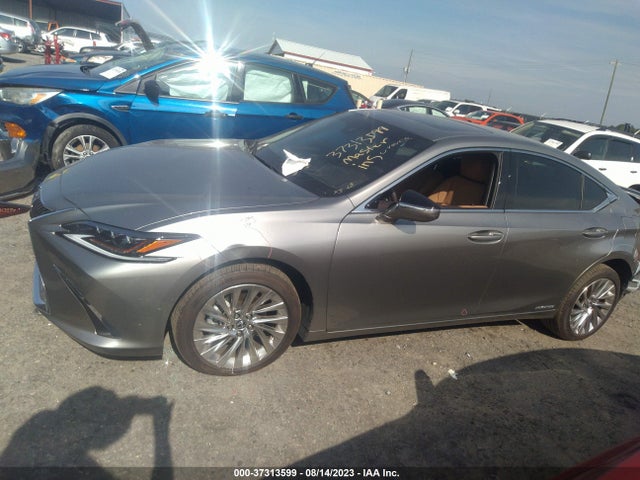2021 Lexus ES, VIN: 58AFA1C11MU010816