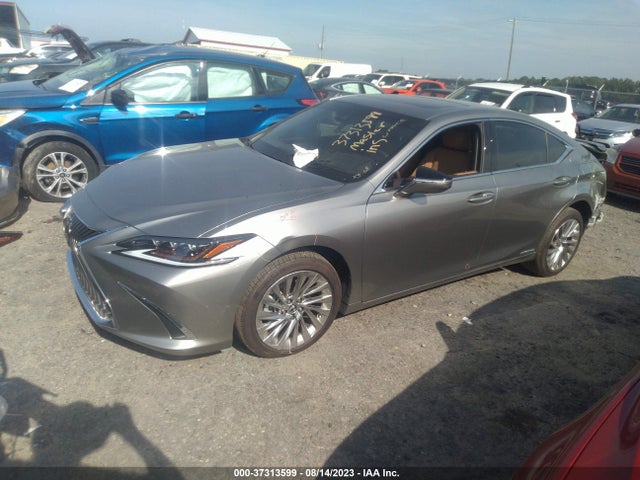 2021 Lexus ES, VIN: 58AFA1C11MU010816
