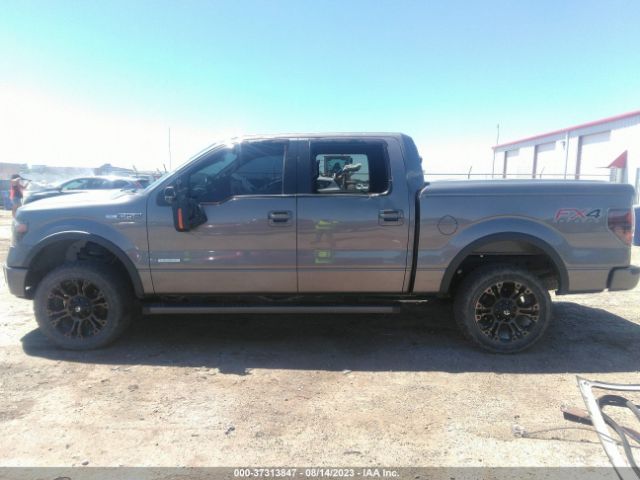 1FTFW1ETXEKE60747 Ford F-150 Xl/xlt/fx4/lariat