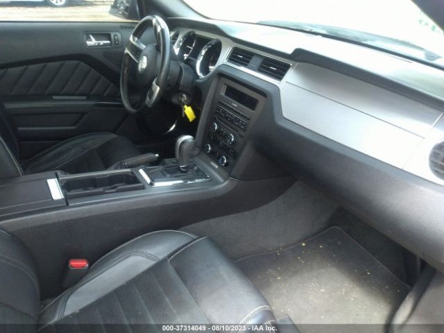1ZVBP8AM1E5270365 Ford Mustang V6