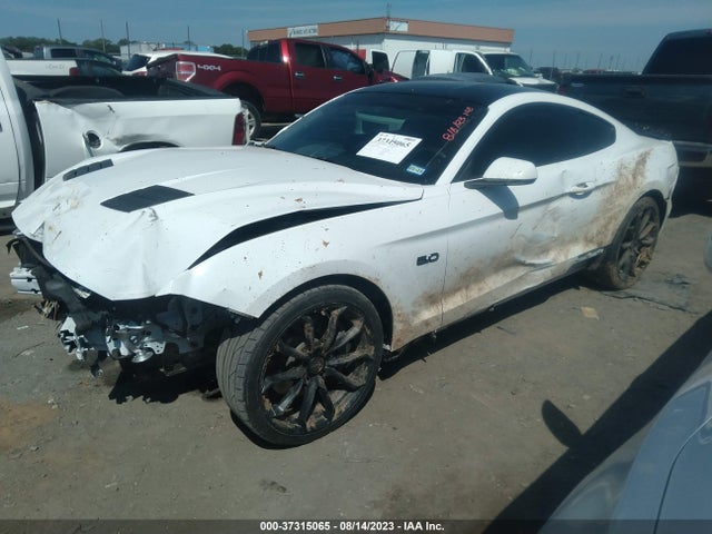 2019 FORD MUSTANG GT VIN: 1FA6P8CF1K5116808