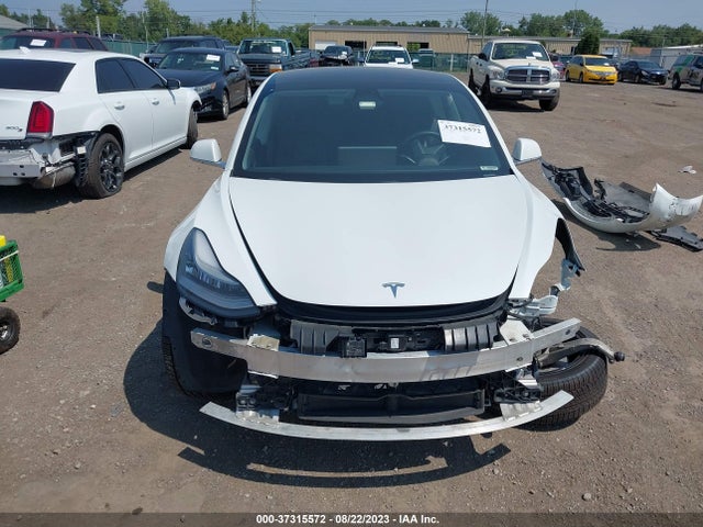 Tesla Model 3 Long Range/performance 2019 5YJ3E1EB3KF359538 Image 12