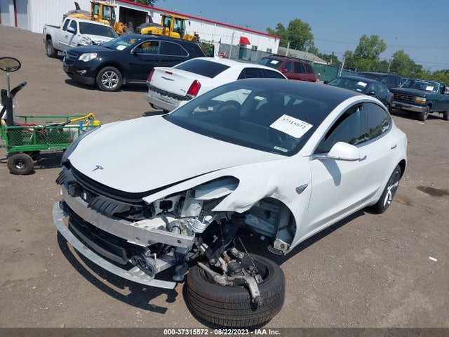 Tesla Model 3 Long Range/performance 2019 5YJ3E1EB3KF359538 Image 2