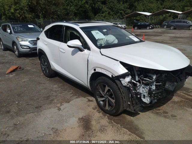 2018 LEXUS NX NX 300 VIN: JTJBARBZ6J2178925