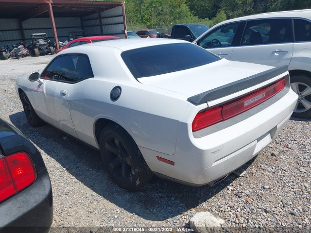 Dodge Challenger Sxt 2014 2C3CDYAG4EH233897 Image 3