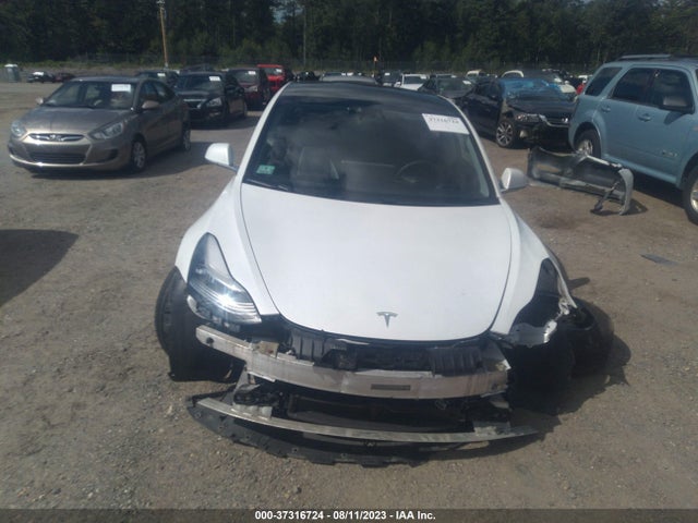 Tesla Model 3 Long Range/performance 2019 5YJ3E1EB9KF493163 Image 12