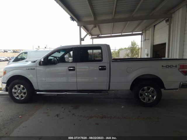 1FTFW1ET7EKG20440 Ford F-150 Xl/xlt/fx4/lariat