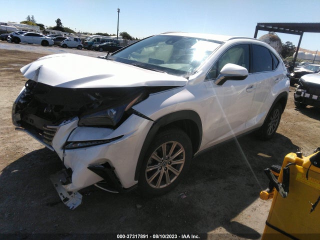 JTJDARBZ4M5031224 Lexus Nx Nx 300