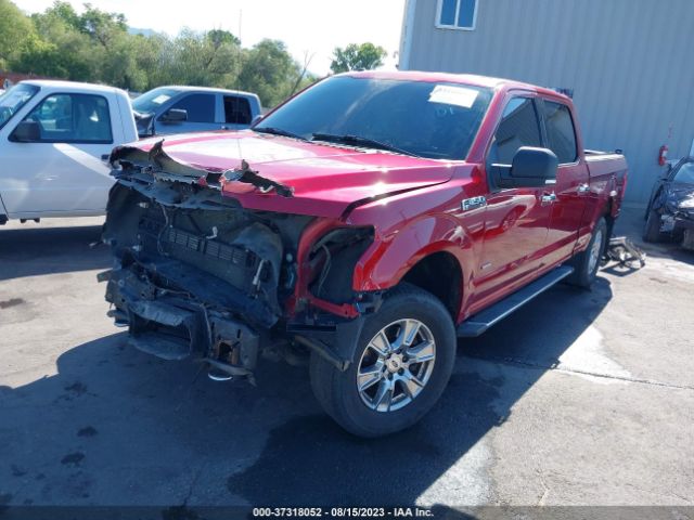 1FTFW1EG6FFA56342 Ford F-150 Xlt W