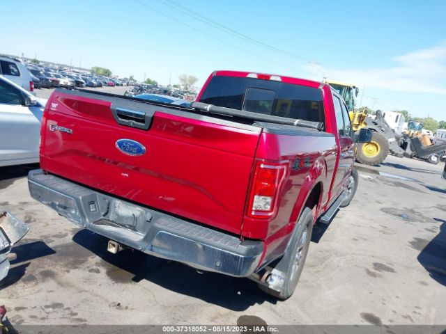 1FTFW1EG6FFA56342 Ford F-150 Xlt W