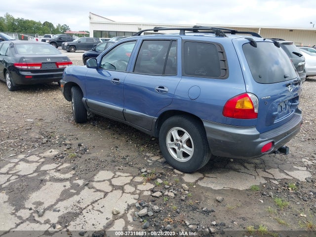2003 HYUNDAI SANTA FE GLS/LX VIN: KM8SC13D13U364683