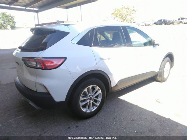 1FMCU9BZ1MUA67427 Ford Escape Se Hybrid
