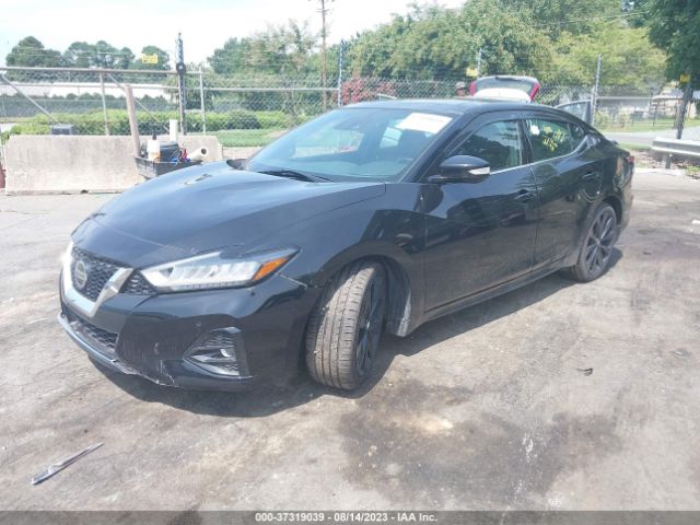 1N4AA6AV9KC377495 Nissan Maxima Sr