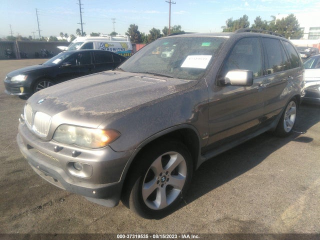 2006 BMW X5 4.4I VIN: 5UXFB535X6LV25808