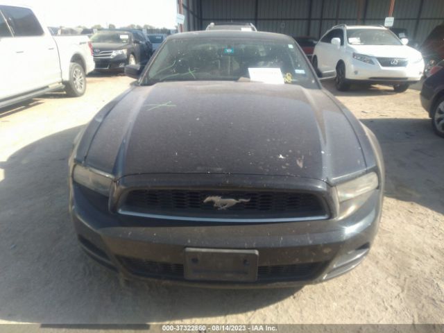 1ZVBP8AMXE5204543 Ford Mustang V6