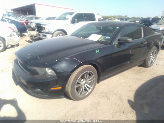 1ZVBP8AMXE5204543 Ford Mustang V6