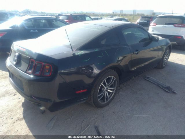 1ZVBP8AMXE5204543 Ford Mustang V6