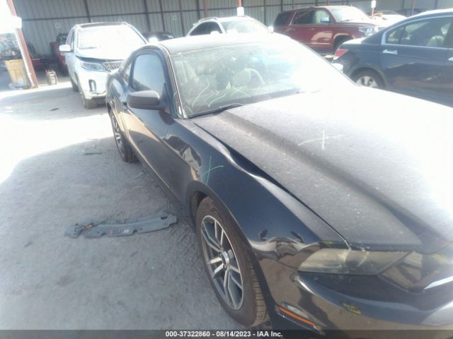 1ZVBP8AMXE5204543 Ford Mustang V6