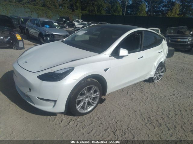 7SAYGDEE4PF755564 Tesla Model Y Long Range
