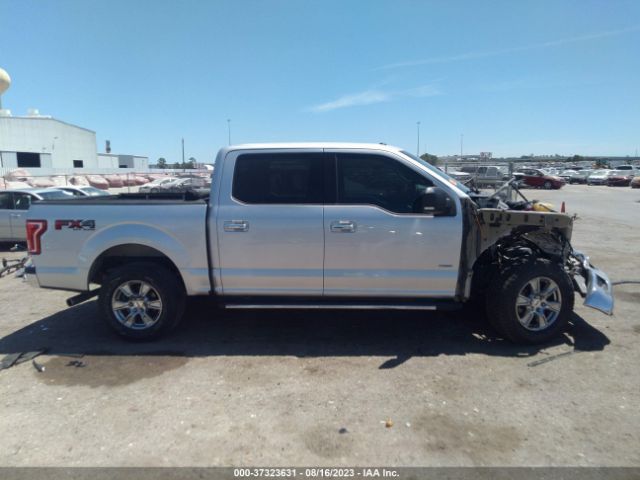 1FTEW1EPXFKE59064 Ford F-150 Xlt/xl/lariat