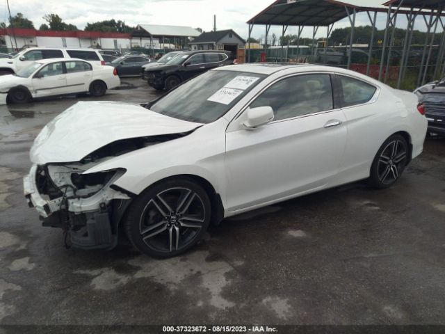 1HGCT2B0XHA002875 Honda Accord Touring V6