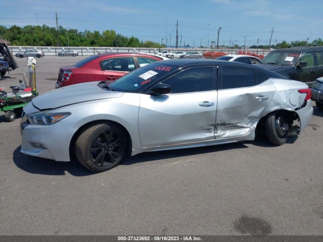 1N4AA6AP6HC430857 Nissan MAXIMA S