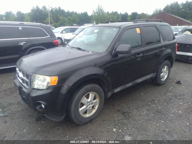 2009 FORD ESCAPE XLT VIN: 1FMCU93G99KA81236