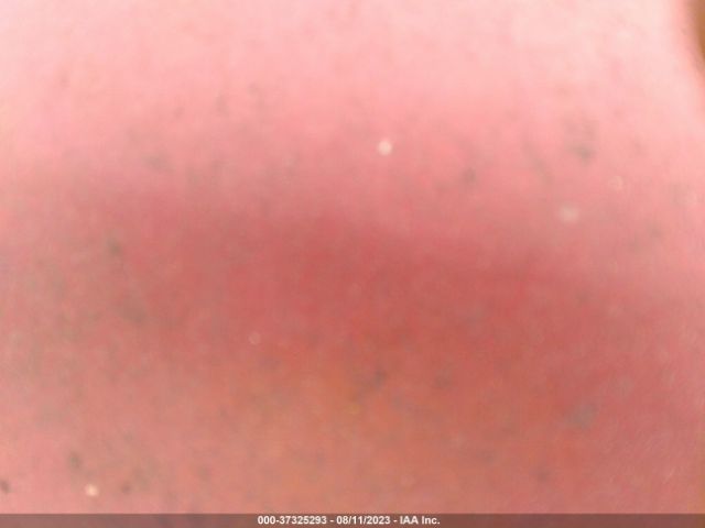 2006 NISSAN ALTIMA 1N4AL11D76C243353 Photo 5