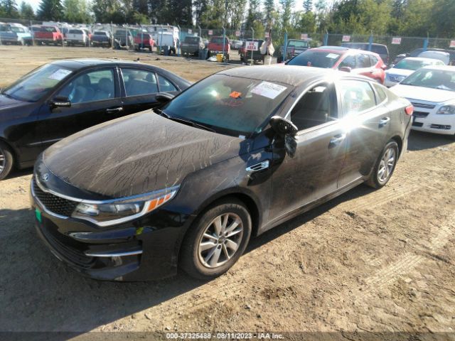5XXGT4L31JG249216 KIA Optima Lx