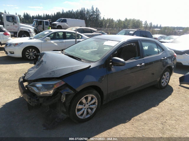 Toyota Corolla L/le/s/s Plus/le Plus 2014 2T1BURHE8EC124404 Image 2